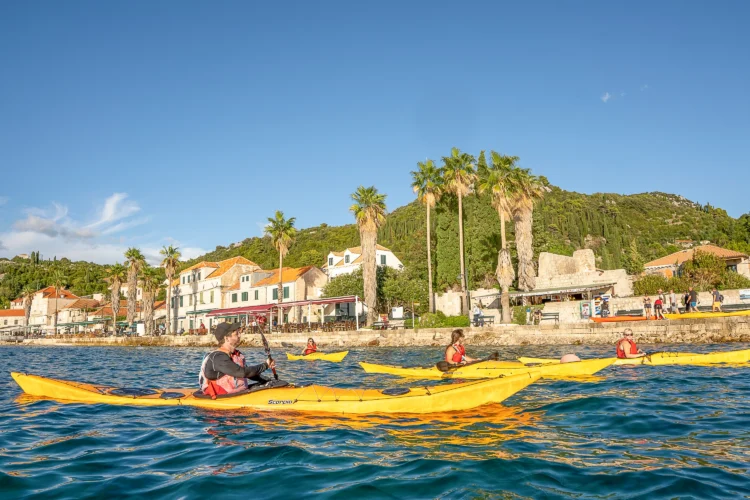 Palm trees line the shore while kayakers paddle along the coastline in Croatia