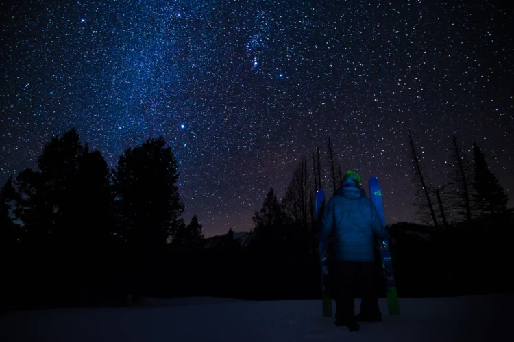 A starry ski with trees in the background.