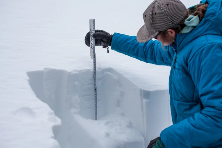 a person in a blue winter coat holds a measuring stick against a snow pit to measure snow depth.