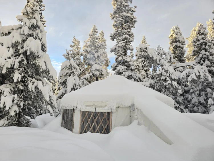 a yurt covered in snow and surrounded by snowy pine tress
