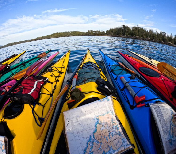 Kayaks and a map are lined up in the water