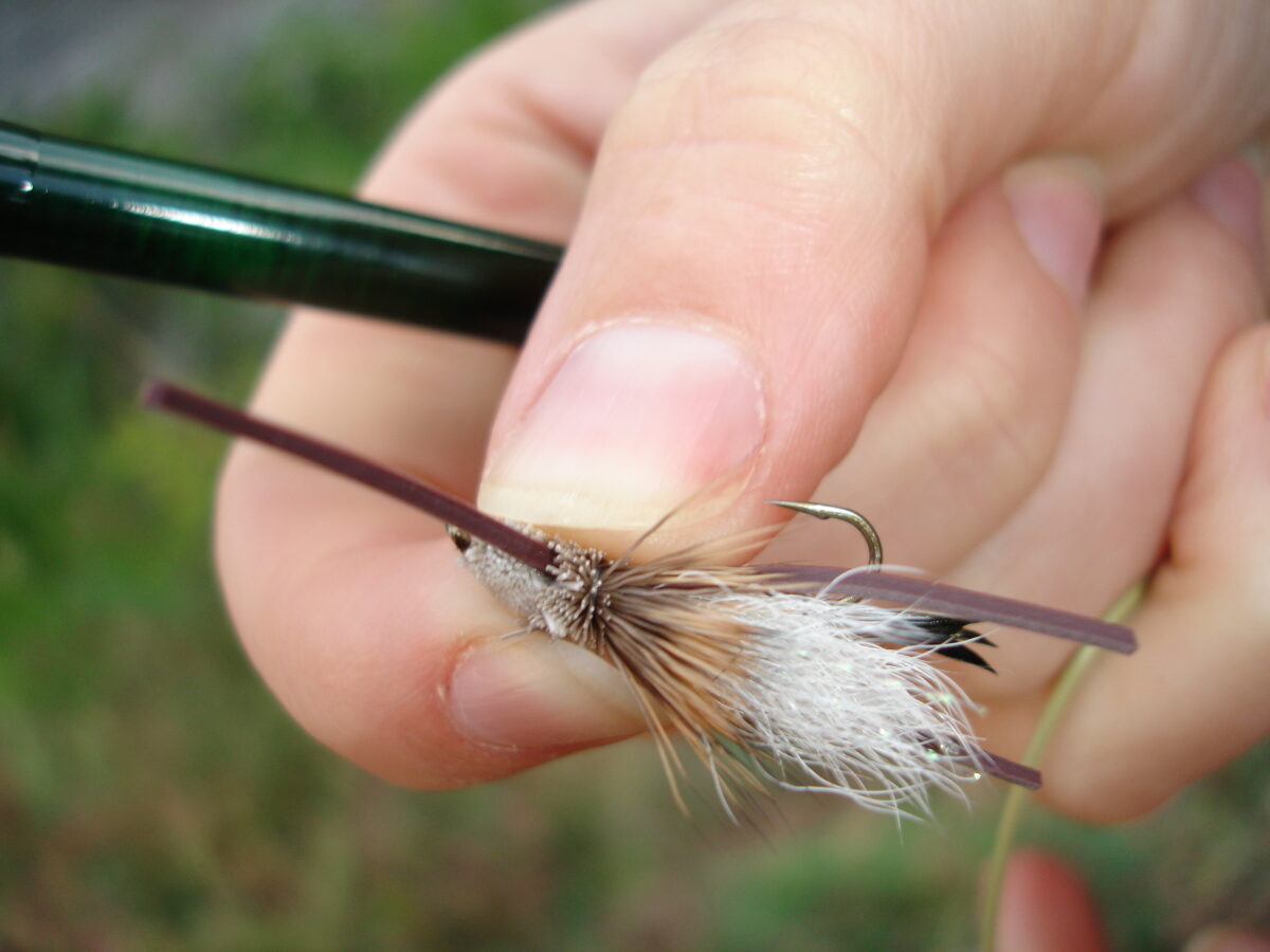Close-up of hand holding a fishing hook.