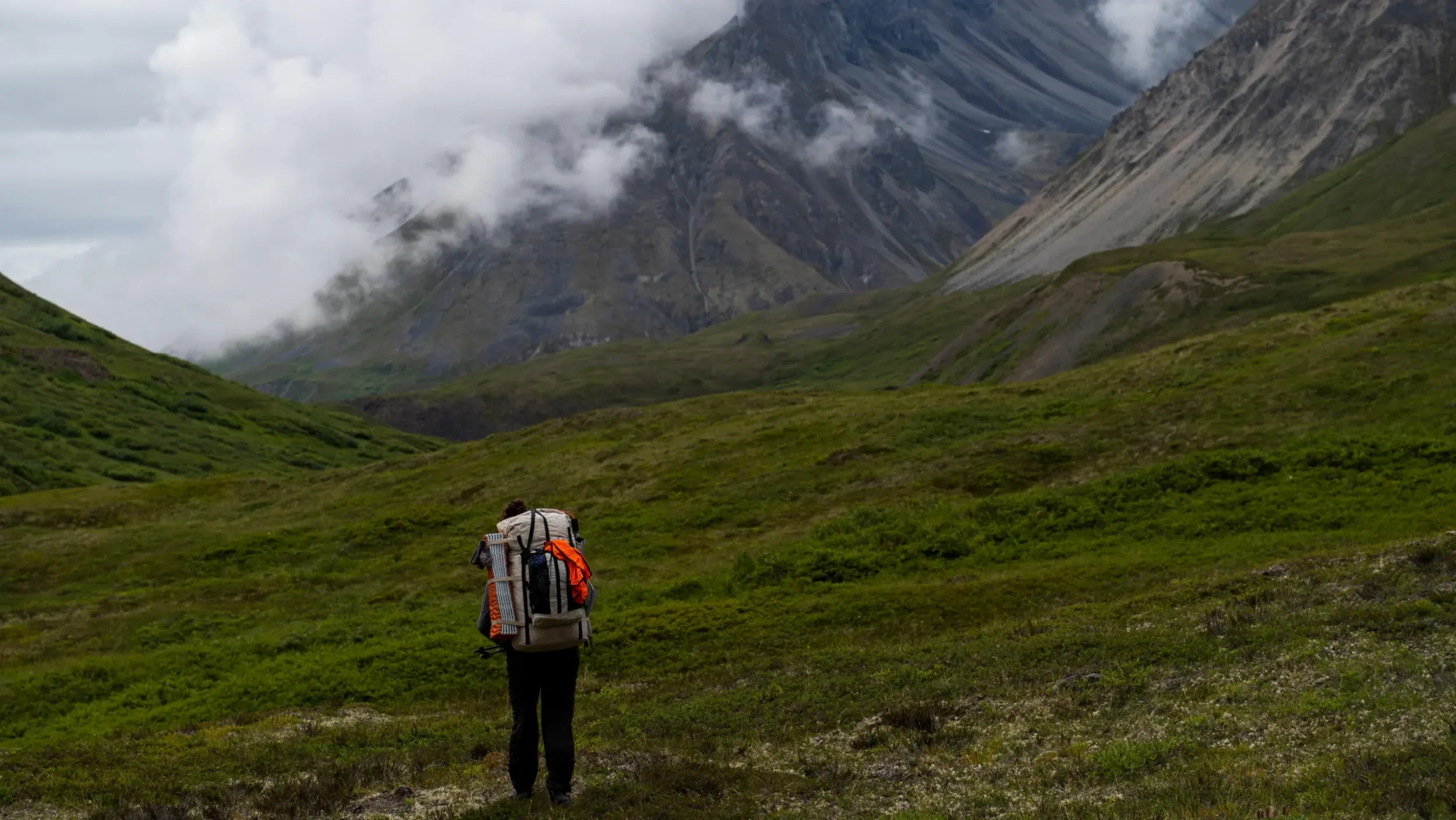 sam_1427.jpg__1310x5000_q70_subsampling-2-100x100-1