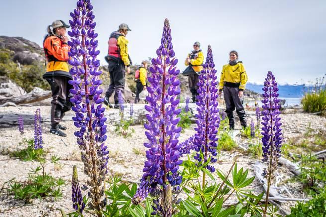 A student stops and takes in the flowers and rainbow in the Rocky Mountains.