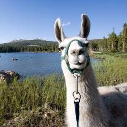 brett-carroll-tvb-5-edit