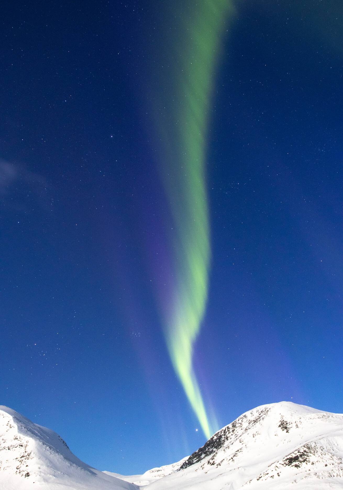 molly-hagbrand-asti2-sca-6 Molly Hagbrand